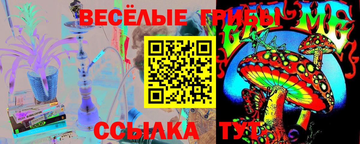 Старая Купавна  Псилоцибиновые грибы GOLDEN TEACHER  Вход с VPN 