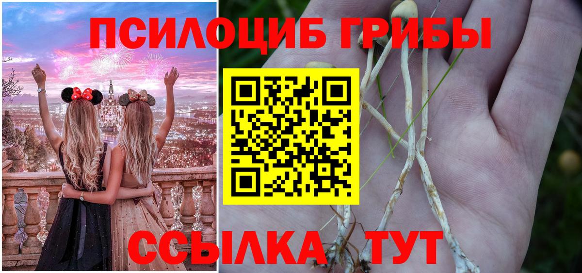 Псилоцибиновые грибы GOLDEN TEACHER Старая Купавна